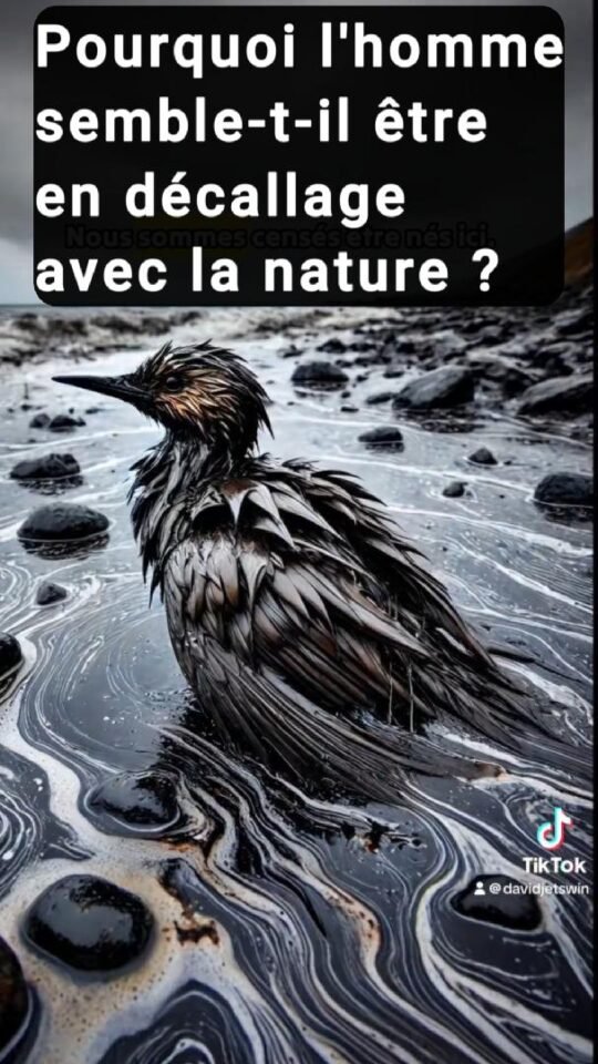 en decallage avec la nature mp4 image